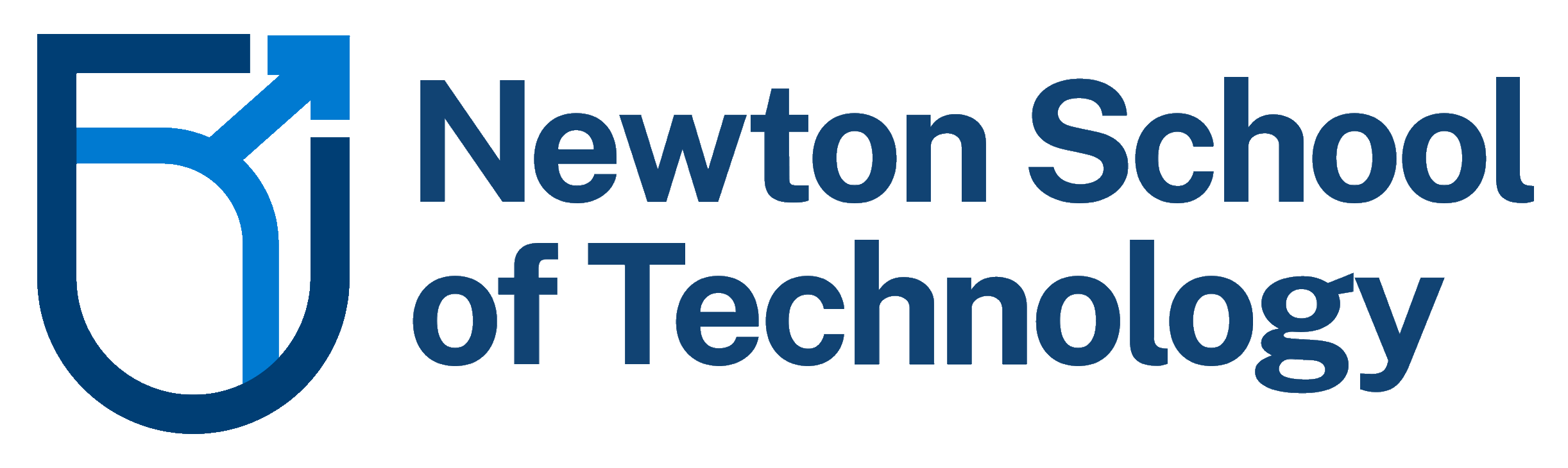 Newton School of Technology logo